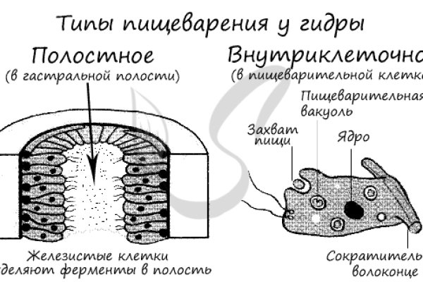 Kraken ссылка krakens13 at