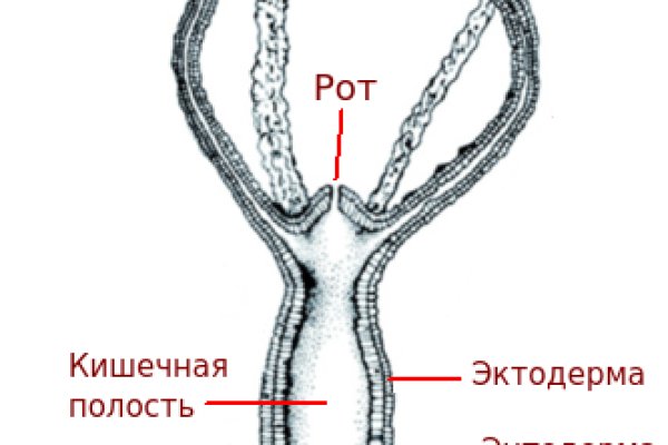 Работающий сайт кракен