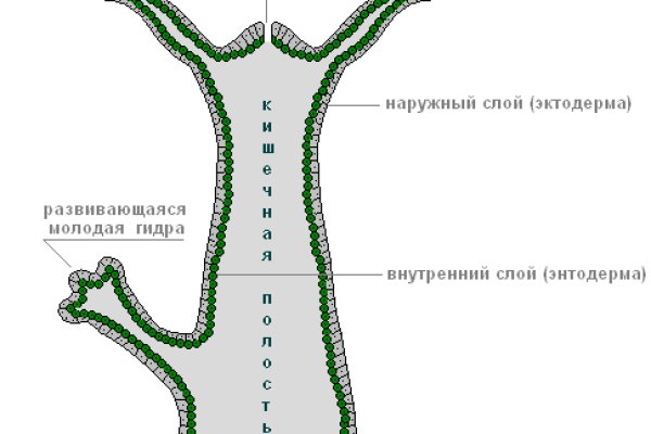 Darkmarket ссылка