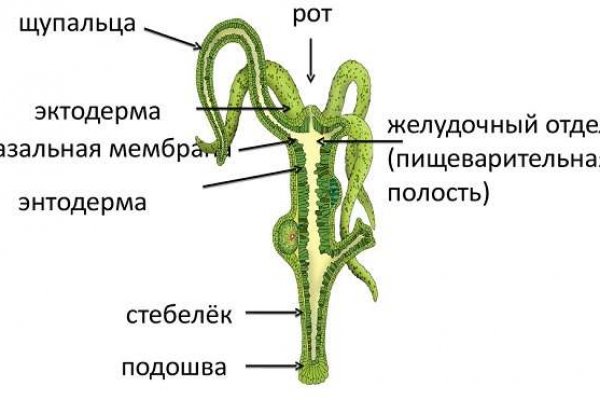 Ссылка на кракен в тор браузере kr2web in