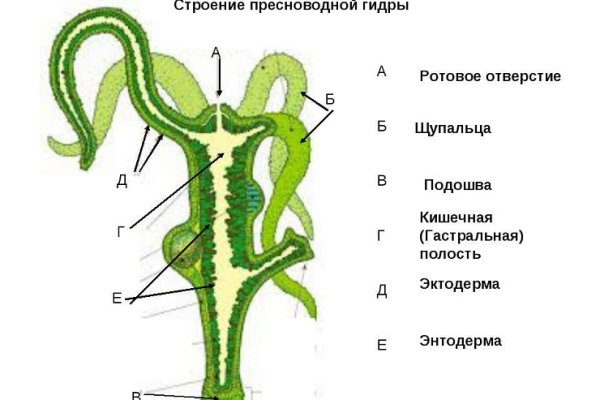 Кракен маркет даркнет только через тор скачать